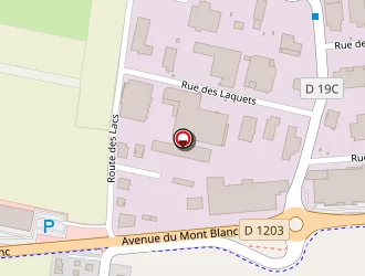 Carte de Cofidest Mont Blanc à Saint-pierre-en-faucigny