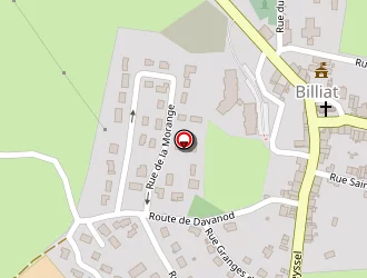 Carte de Ninet Frères à Billiat