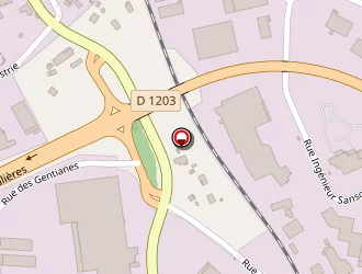 Carte de Promens à Roche-sur-foron (la)