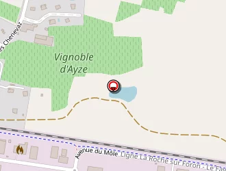 Carte de Guillermin Georges à Ayse