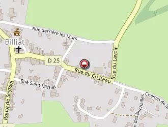 Carte de Favre Régis à Billiat