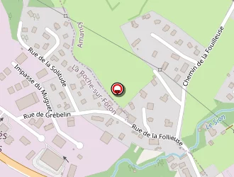 Carte de Sas F.t.s à Roche-sur-foron (la)