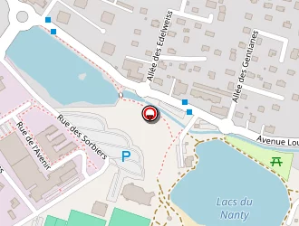 Carte de Expertise Vision à Thyez