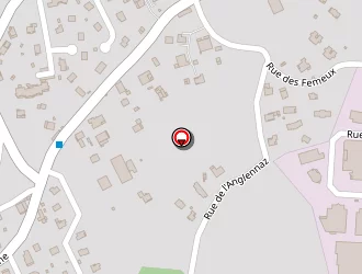 Carte de Trincat Sandrine à Marignier