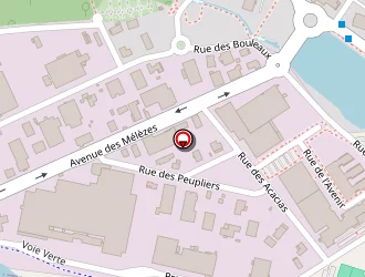 Carte de Timing Assistante à Thyez