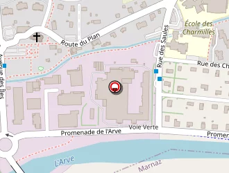 Carte de Gillier Thierry à Thyez