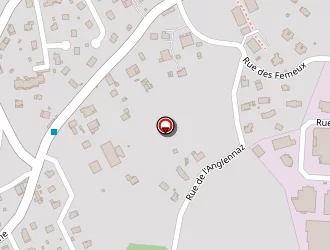 Carte de Brasier Charpente à Marignier