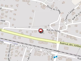 Carte de Mont Blanc Qualite à Thyez