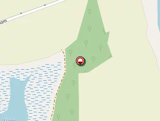 Carte de Berthillot Gerard à Dompierre-sur-veyle