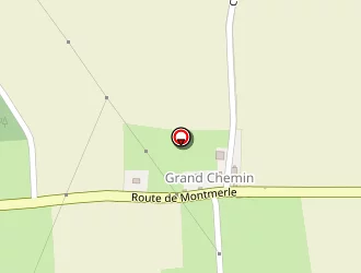 Carte de Vallet Georges à Francheleins