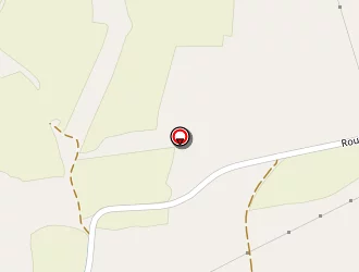 Carte de Selli Romain à Savigny