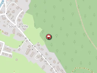 Carte de Ricco Gilbert à Samoëns