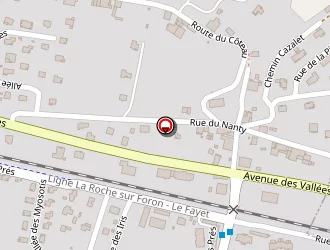 Carte de Garage Soriano à Thyez