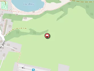 Carte de Bellamy Yvan à Morillon