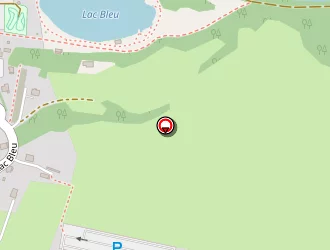 Carte de Deloy Florent à Morillon