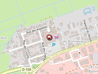 Carte de Noel Arts Graphiques à Salles-sur-mer