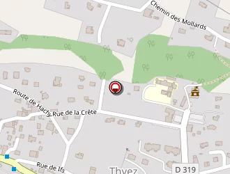 Carte de Torro Patrick à Thyez