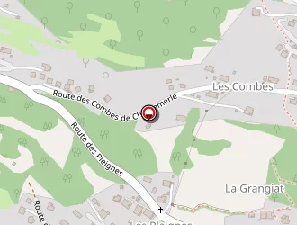 Carte de Le Bois Aux Dames à Samoëns