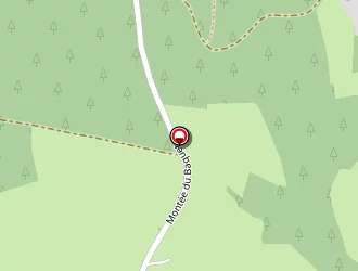 Carte de Societe Apidiff à Orvanne