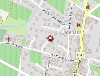 Carte de Suchet Géraldine à Odenas