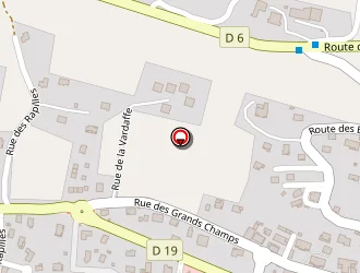 Carte de Cheneval Ludovic à Thyez