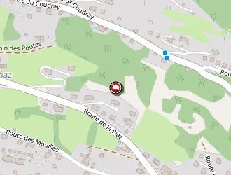 Carte de Pellissier André à Samoëns