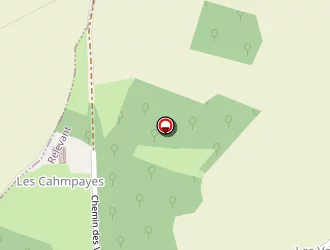 Carte de Martin Pascal à Relevant