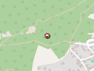 Carte de Delullier Frères à Marignier