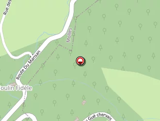 Carte de Domeizel Eric à Chapelle (la)