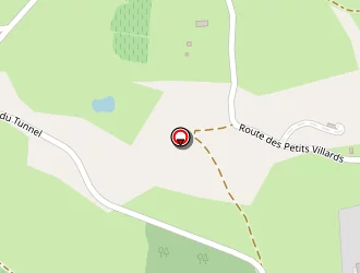 Carte de Chambost Elagage à Ambierle