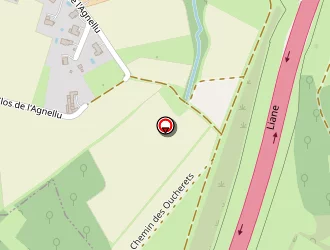 Carte de Randonnee Pedestre à Feigères