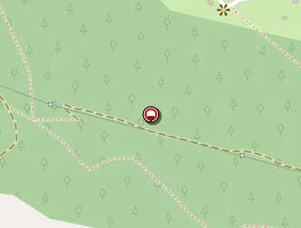 Carte de Lopez Amor Thierry à Marignier