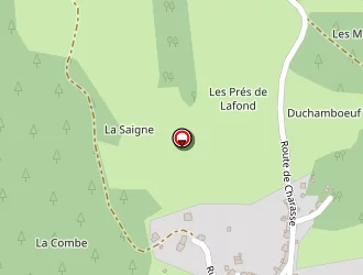 Carte de Forestier Pierre à Châtel-montagne