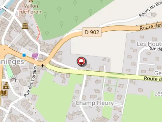 Carte de Morand Alain à Taninges