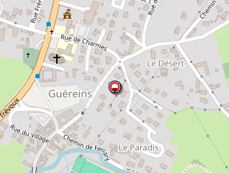 Carte de Viacava Roger à Guéreins