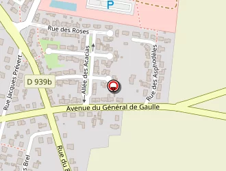 Carte de Bazaga Agnès à Surgères