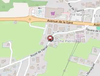 Carte de Le Tremplin à Taninges