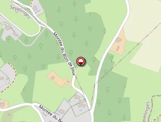 Carte de Ducharne Thomas à Sevelinges