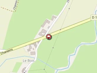 Carte de Indian Tattoo à Baneins