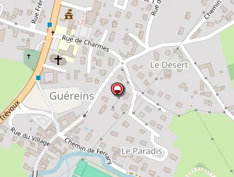 Carte de Morgon Emmanuel à Guéreins