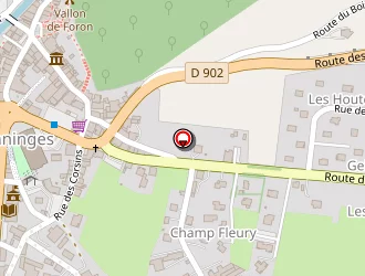 Carte de Yellow Sur Marine à Taninges