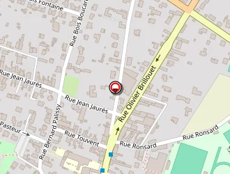 Carte de Fleuriste Abaca à Surgères