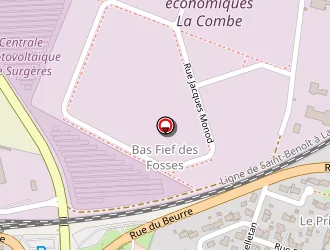 Carte de Joniaux Frédéric à Surgères