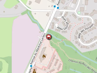 Carte de Anaïs Lr Elite System à Châtillon-en-michaille