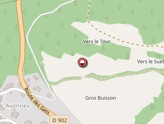 Carte de Carlier Serge à Taninges