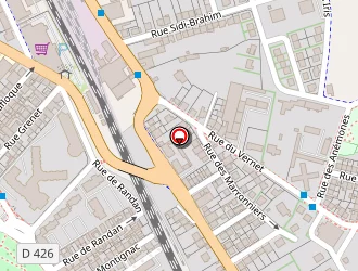 Carte de Etude Genealogique Exode à Vichy