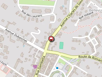 Carte de Garage Ravoux à Châtillon-sur-chalaronne