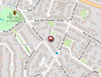 Carte de Brulaud Christophe à Jarne (la)