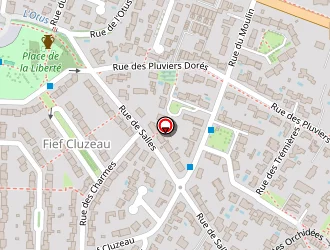 Carte de Frouin Frédéric à Jarne (la)