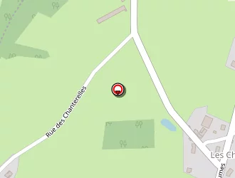 Carte de Tambois Guy à Youx